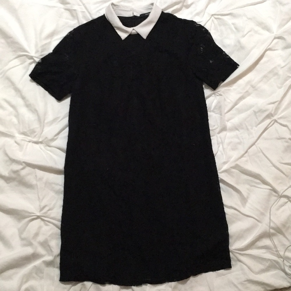 Black lace Peter Pan collar dress